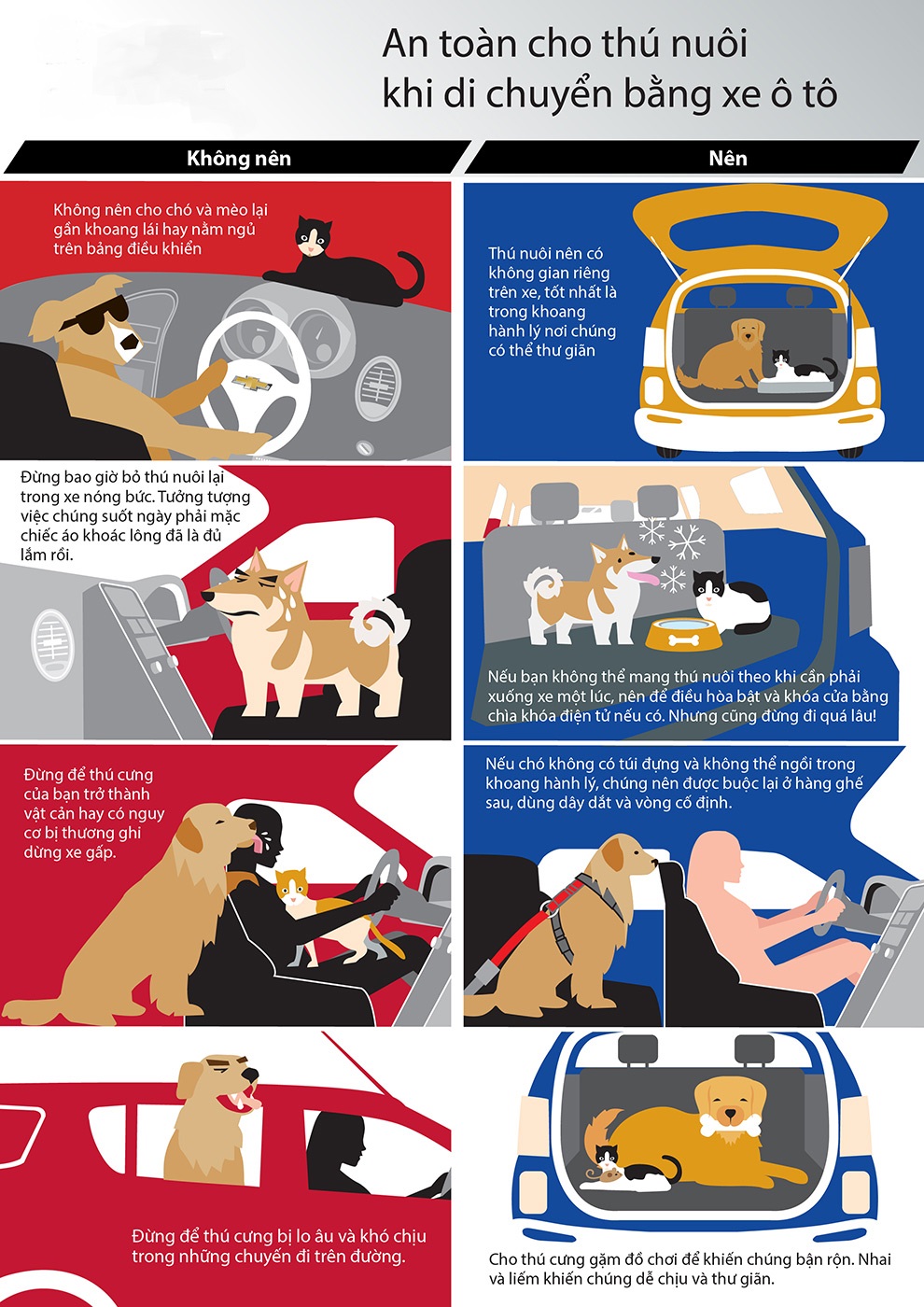 Những điều nên và không nên khi chở thú cưng trên xe ô tô.